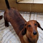 Twiggy 5 meses
