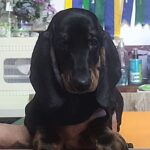 22b695c3-9b74-4995-bc81-fd75be5a75db