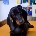 2ce030e0-96f8-43e2-b403-3efb38aa138c