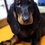 3209c8b4-e78e-4547-bc85-c43ac5db67ac