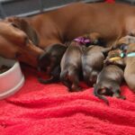 363a4f9c-c3d0-439f-a11f-17611ec5dcb5