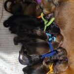 8982fa68-a609-4852-b3ca-d4cfcea654fd