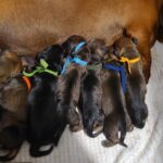 972fa6d6-c694-4077-8527-b90a3afcd863