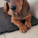 WhatsApp Image 2023-09-10 at 15.34.54