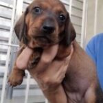 WhatsApp-Image-2024-09-28-at-19.51.36-1-169x300