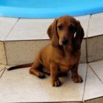 WhatsApp-Image-2024-09-28-at-19.57.48-1-1-300x300