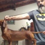 WhatsApp-Image-2024-09-28-at-19.57.48-2-768x346