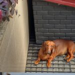 WhatsApp Image 2024-10-22 at 09.49.39