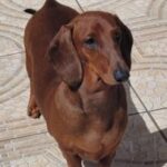 WhatsApp Image 2024-10-23 at 19.11.39