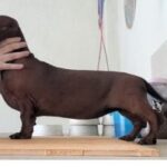 WhatsApp-Image-2024-10-24-at-11.03.37-300x198