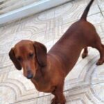 WhatsApp-Image-2024-10-24-at-11.05.12-1-201x300