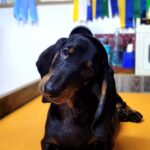 b5b62470-79a9-4711-9126-0e75388020e8