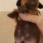 e692c7a8-a0ea-44bd-a210-856a02e8a3d6