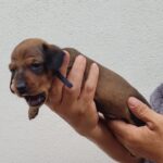 WhatsApp Image 2026-02-05 at 12.49.04