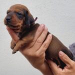 WhatsApp Image 2026-02-05 at 12.49.05