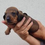 WhatsApp Image 2026-02-05 at 12.49.09 (4)