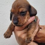 WhatsApp Image 2026-02-05 at 12.49.10 (2)