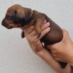 WhatsApp Image 2026-02-05 at 12.49.11 (4)